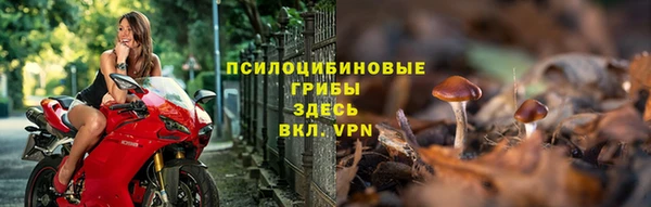 меф Богородицк
