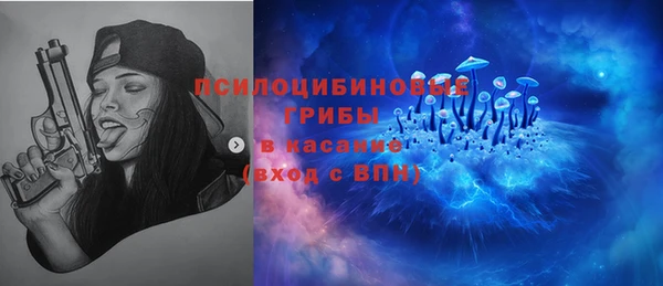 меф Богородицк