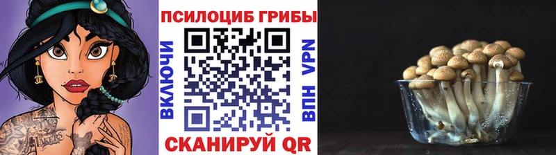 OMG зеркало  Дигора  Псилоцибиновые грибы Psilocybine cubensis 